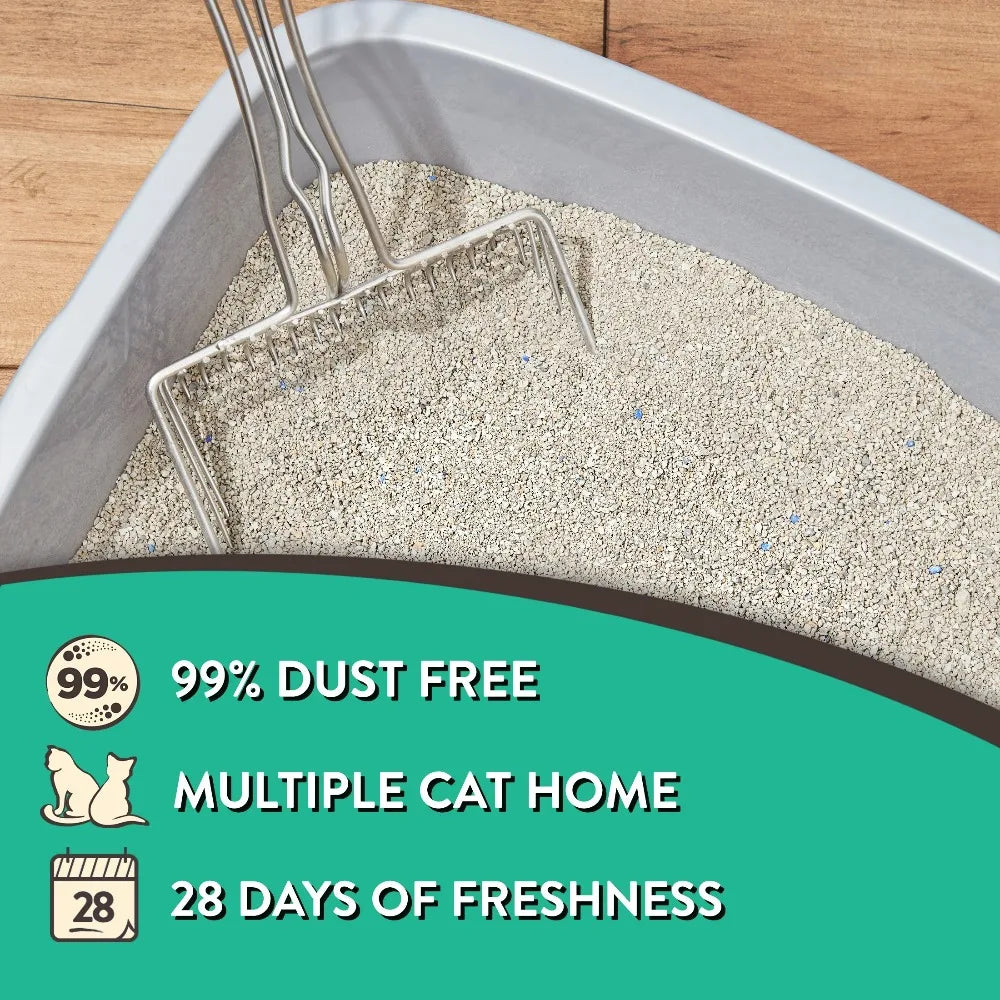 Premium Clumping Cat Litter – Fresh Scent | 4 Pack (20 lb Each)