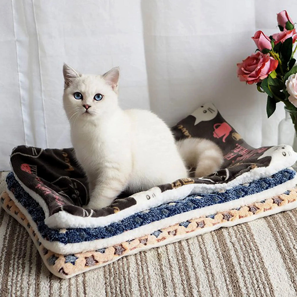 The perfect cozy spot for naps and restful sleep. 🐾