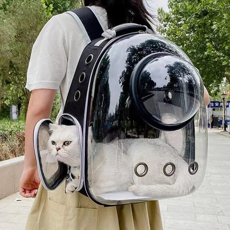 Transparent Pet Carrier Backpack – Breathable Travel Bag for Cats & Small Dogs