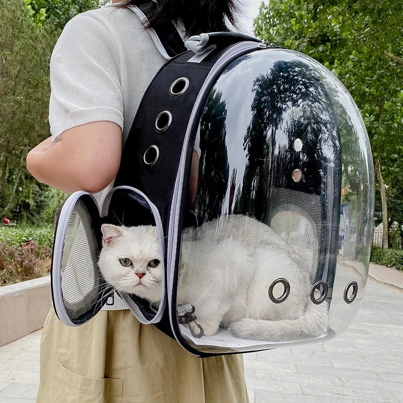 Transparent Pet Carrier Backpack – Breathable Travel Bag for Cats & Small Dogs