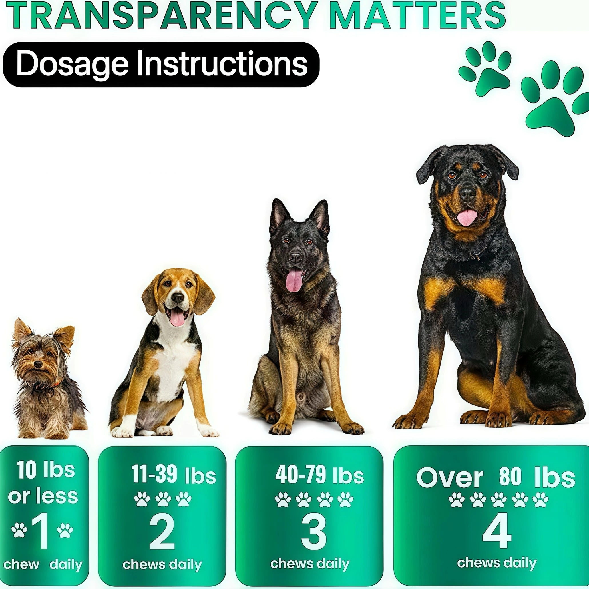 Dog Allergy & Itch Relief Chews – Skin, Coat & Immune Support