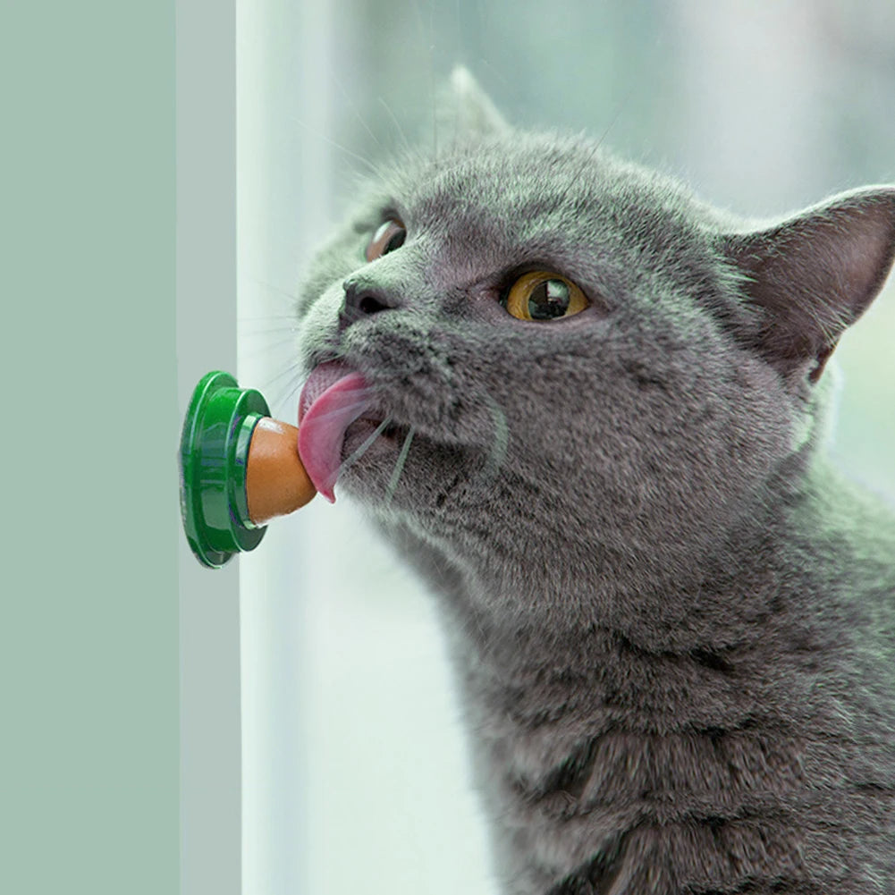 Premium Catnip Licking Ball – Healthy Cat Treat