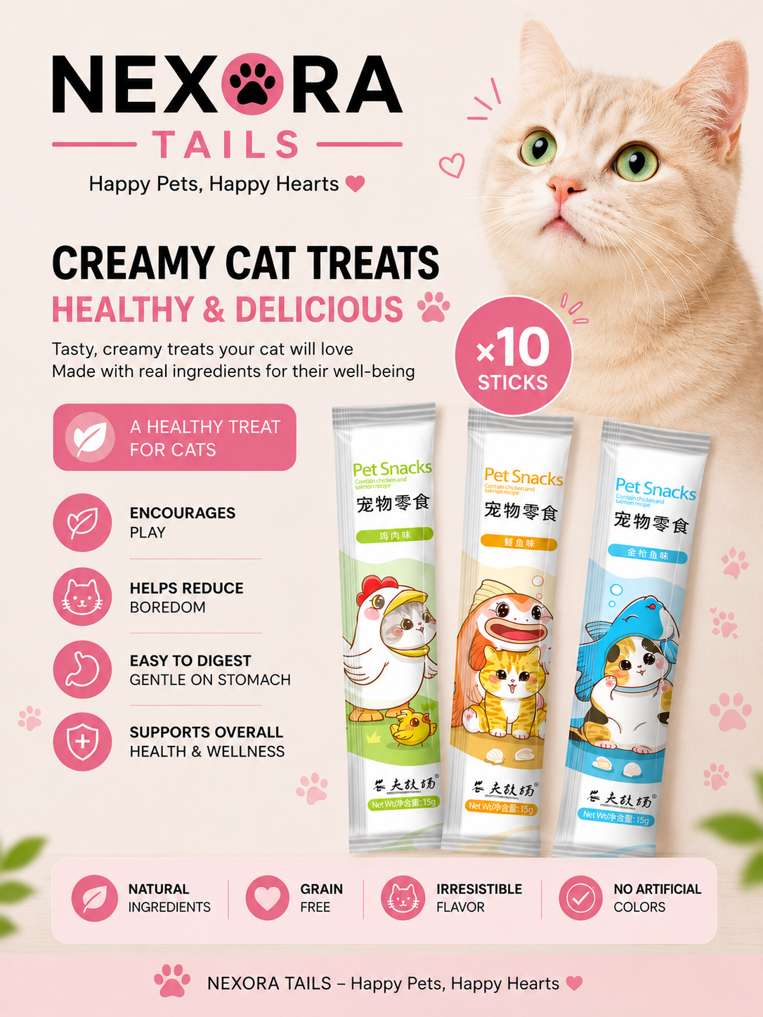 Premium Cat Treat Paste – Salmon & Tuna Flavor Cat Snacks (10 x 15g)
